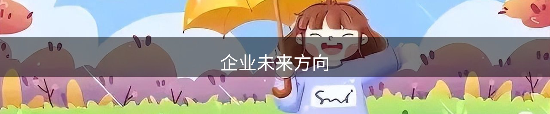 企业未来方向