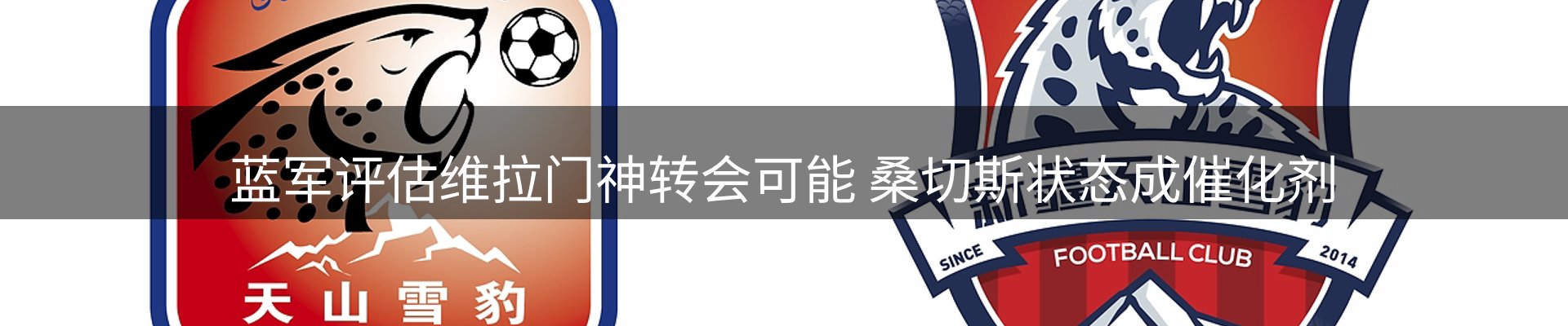 公司视点