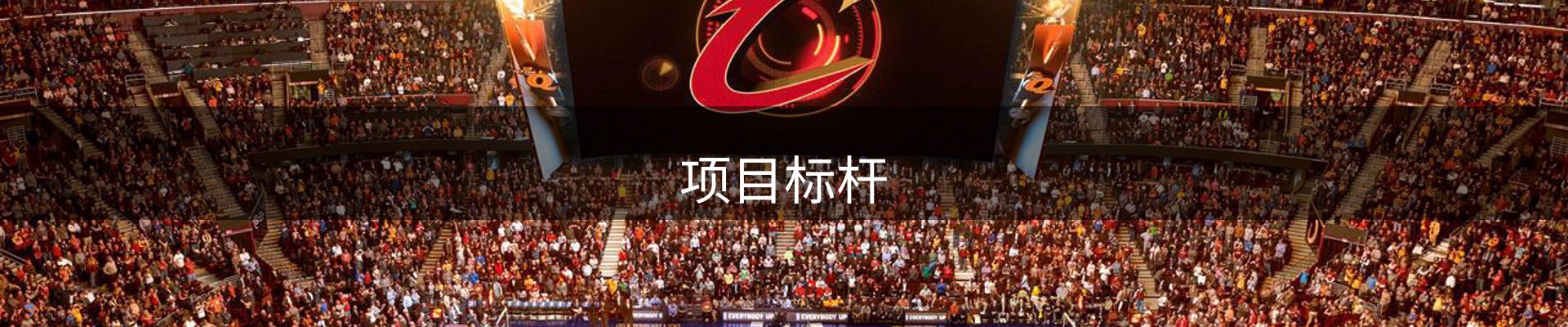 项目标杆